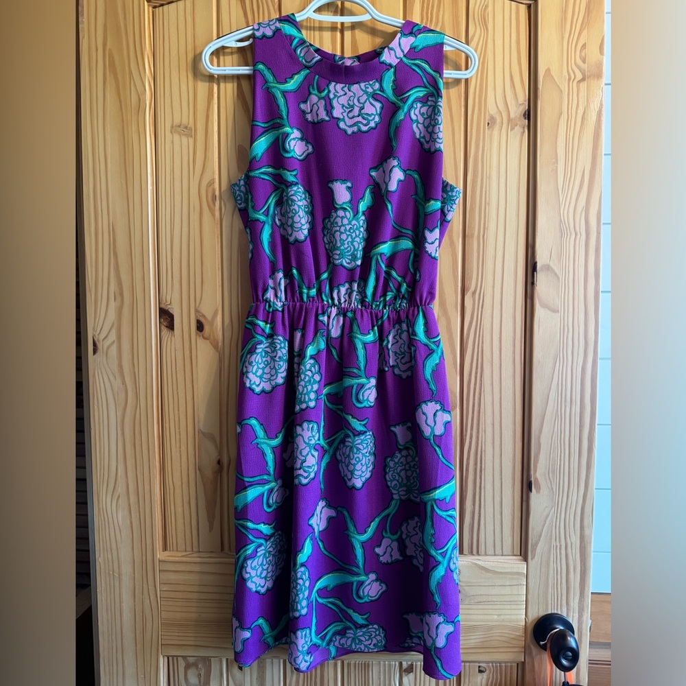 Lilly Pulitzer Woman’s Dress